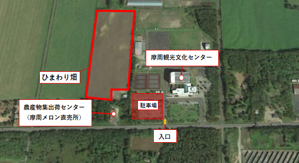 2025年のひまわり畑の位置