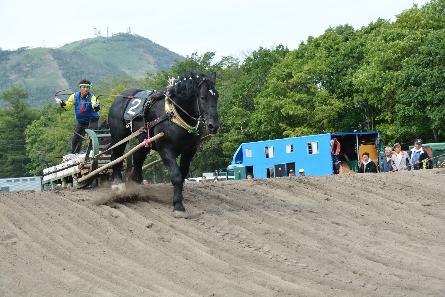ばん馬一頭の大会でのレースの模様
