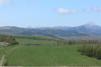 摩周岳や硫黄山を見渡せる900草原レストハウス外観の写真