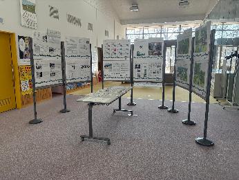 川湯ふるさと館常設展示の様子